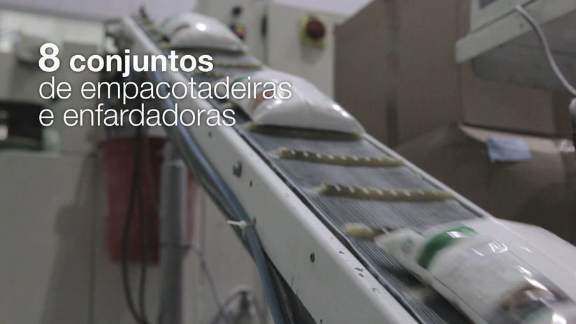 TEREOS (Institutional)